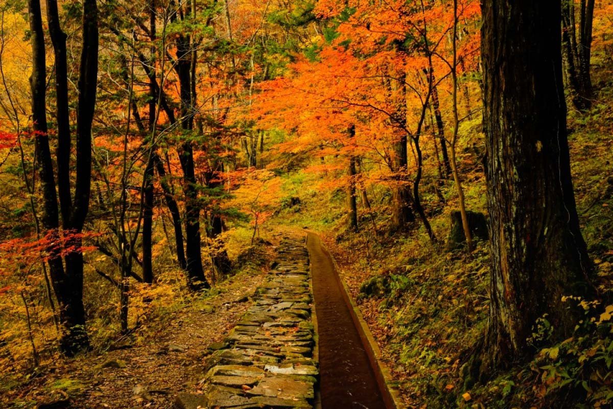 🏞️ 쓰케치 협곡 (쓰케치쿄) 이미지 5